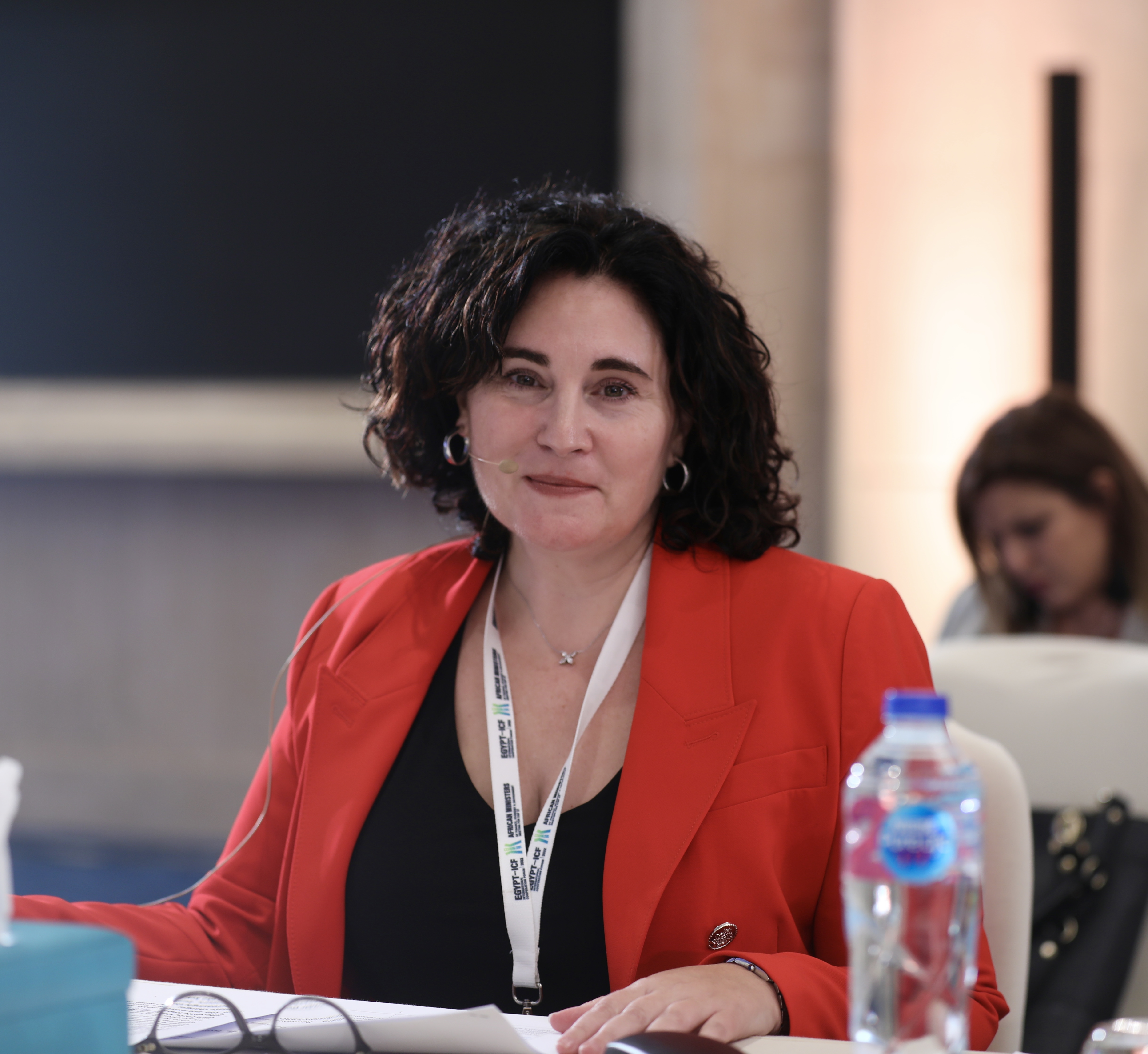 Ms. Christine Arab; UN Women Egypt country Representative