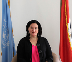 Christine Arab, UN Women Egypt Country Representative